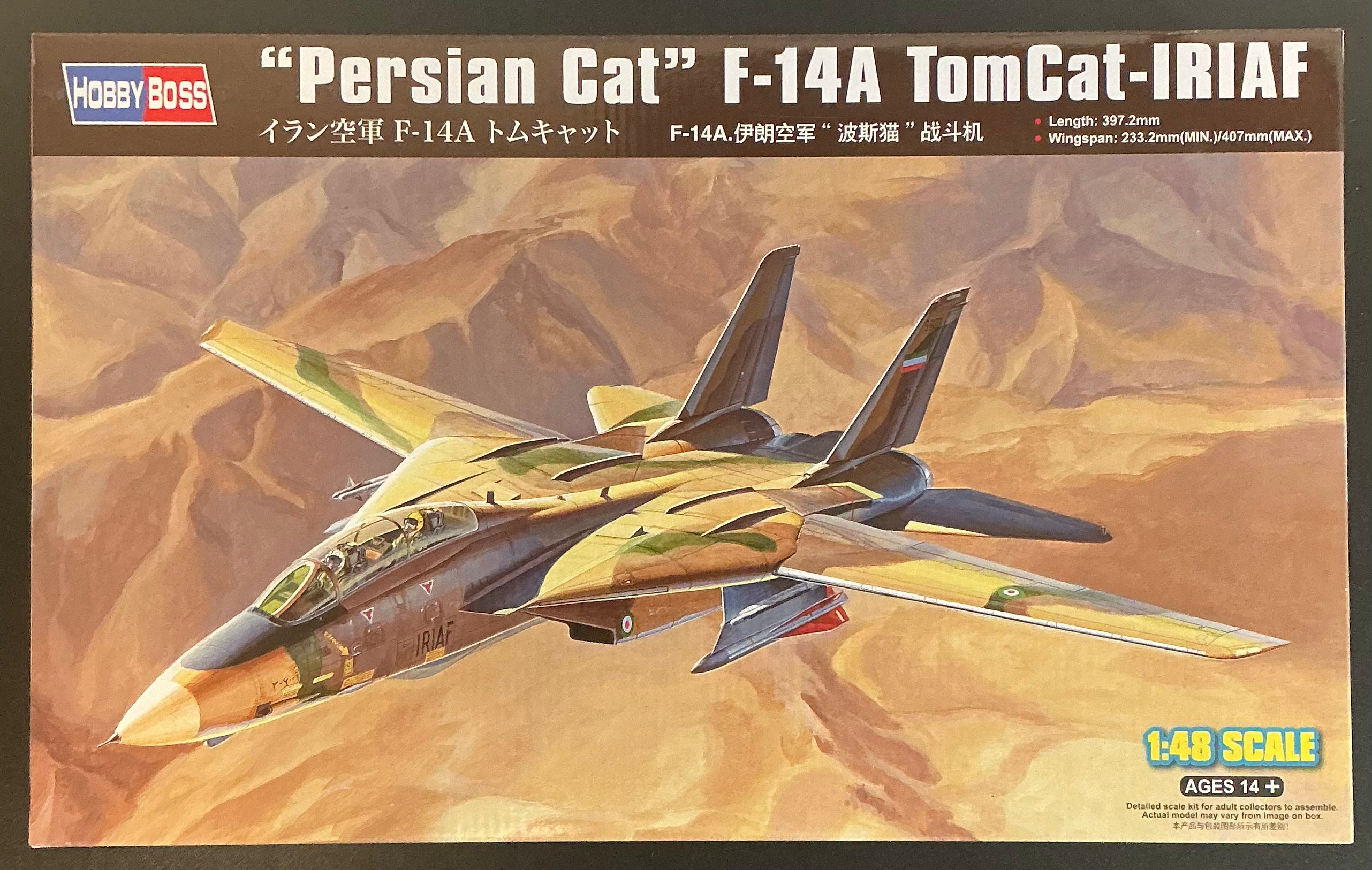 F-14A TomCat IRIAF "Persian Cat" 1:48 Model Kit by Hobby Boss